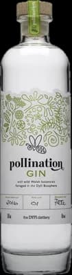 Bouteille de spiritueux : Pollination Gin de la marque Dyfi