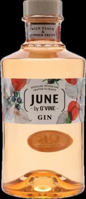 Bouteille de spiritueux : June by  Wild Peach & Summer Fruits de la marque G'Vine