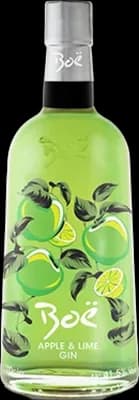 Bouteille de spiritueux : Apple & Lime Gin de la marque Boë Scottish Gin