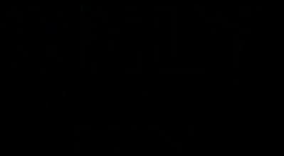 Logo de la marque de spiritueux : Only Gin