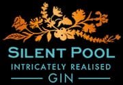 Logo de la marque de spiritueux : Silent Pool Gin