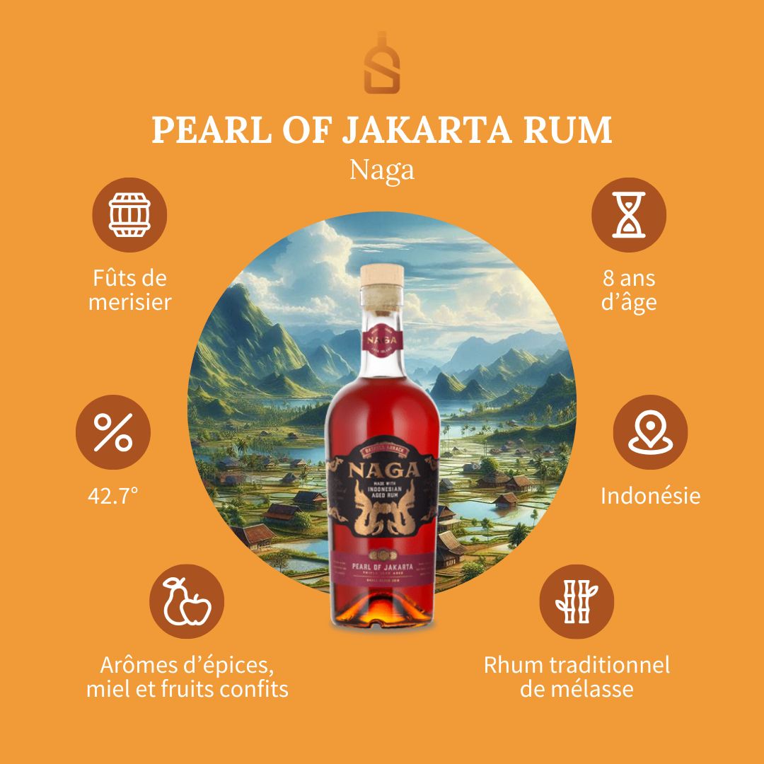 Image cover for blog post: Naga – Pearl of Jakarta